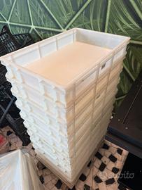 Contenitori per impasti pizza