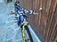 Immagine 5