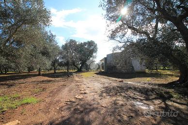CASA DI CORTE A OSTUNI