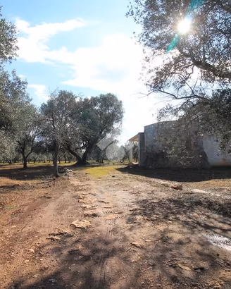 CASA DI CORTE A OSTUNI