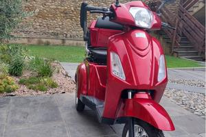 Scooter elettrico 3 ruote