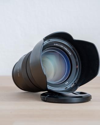 Sony 18-105 f/4