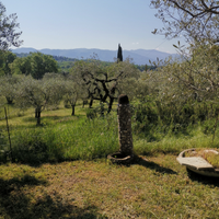 Piccolo terreno x orto zona cinque strade