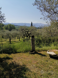 Piccolo terreno x orto zona cinque strade