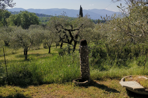 Piccolo terreno x orto zona cinque strade