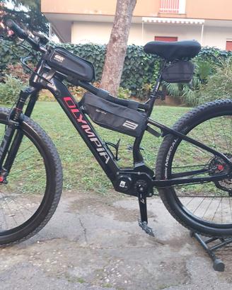 E-BIKE OLYMPIA PERFORMER 900 SPORT HYBRID Tg L