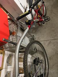 Bicicletta cammellino