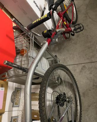 Bicicletta cammellino