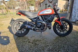 Ducati 800 scrambler