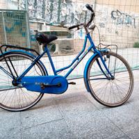 Bicicletta stile olandese