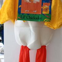 Costume di carnevale Pulcino