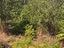 Immagine 14