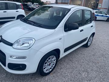 FIAT Panda 1.2 Fire motore 4 cilindri euro 6