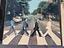 Immagine 5