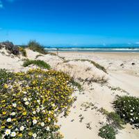 4 locali a S. Salvo Marina (CH)