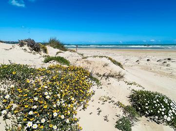 4 locali a S. Salvo Marina (CH) - Settembre