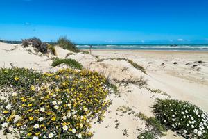 4 locali a S. Salvo Marina (CH)