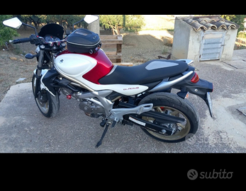 Suzuki 650