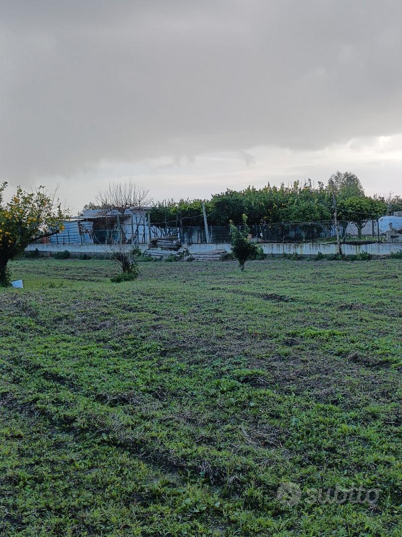 Terreno agricolo - Altro