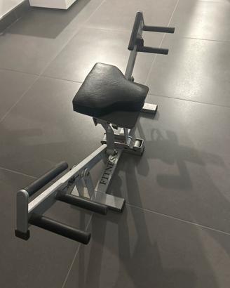 Fitness Pump - Anghel Sport - pettorali