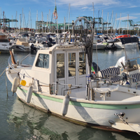 Barca motore Vanessa 20piedi