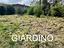 Immagine 18