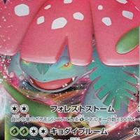 Carta pokemon