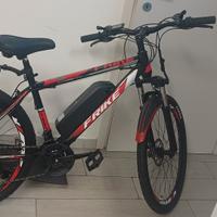 bicicletta elettrica