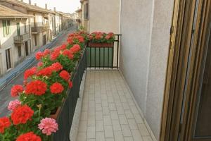 Appartamento Vasanello [Cod. rif 3267291VRG]