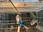Immagine 4