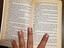 Immagine 4