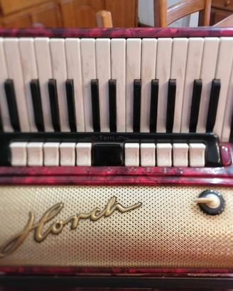Fisarmonica 120 BASSI 4/5