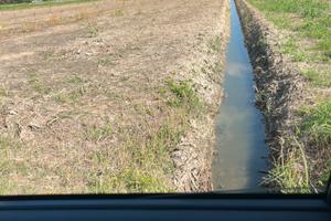 Terreno AGRICOLO