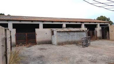 Terreno di 50000 m² a Monti