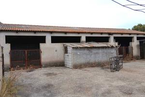 Terreno di 50000 m² a Monti