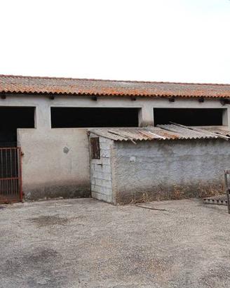 Terreno di 50000 m² a Monti