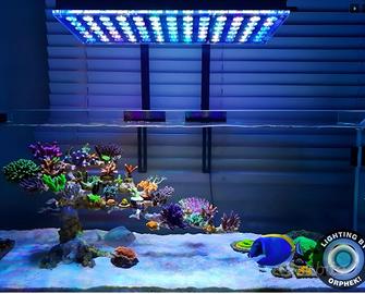 Lampada Acquario marino C.e.r.c.o