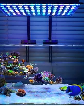 Lampada Acquario marino C.e.r.c.o