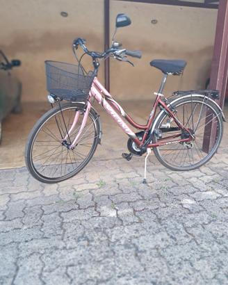 Bicicletta da donna