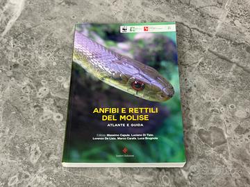 Anfibi e Rettili del Molise