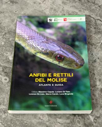 Anfibi e Rettili del Molise