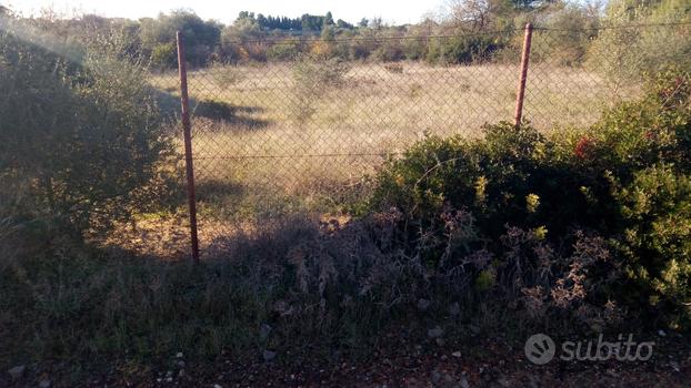 Terreno agricolo San Isidoro Quartucciu