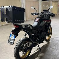 Honda transalp 2025