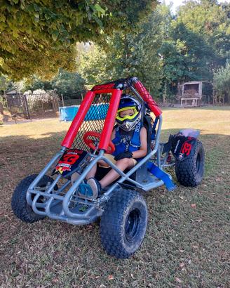 gokart cross buggy roxon xcube