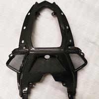 Inserto Codino CARBONIO BMW S1000RR M1000RR