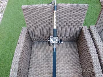 Canna traina daiwa