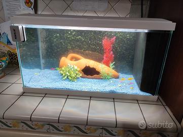 Acquario Askoll 60 lt