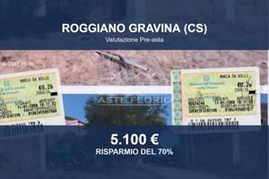 Immobile in asta di 11626 m² a Roggiano Gravina