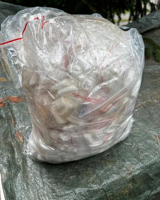Kit da 12000 unghie finte Tip naturali