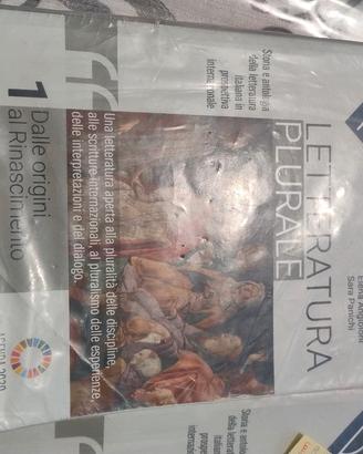 Letteratura Plurale 1